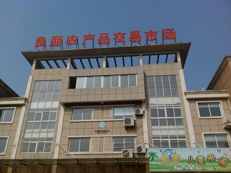 无公害蔬菜选购宝典:清新你的餐桌