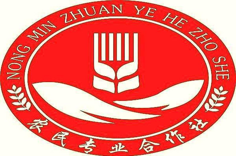 选择绿色生活:无公害蔬菜与普通蔬菜的对比评测